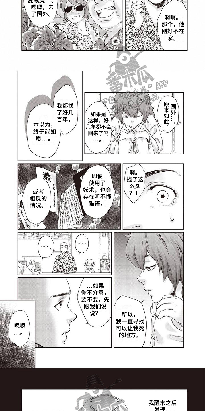 《九尾狐和继任者》漫画最新章节第31章：【第二季】目标免费下拉式在线观看章节第【5】张图片