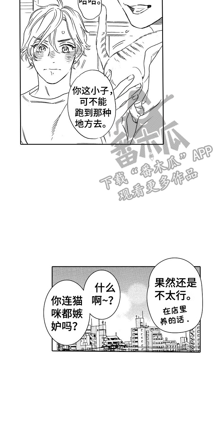 《特别之人》漫画最新章节第31章：猫咪 免费下拉式在线观看章节第【3】张图片