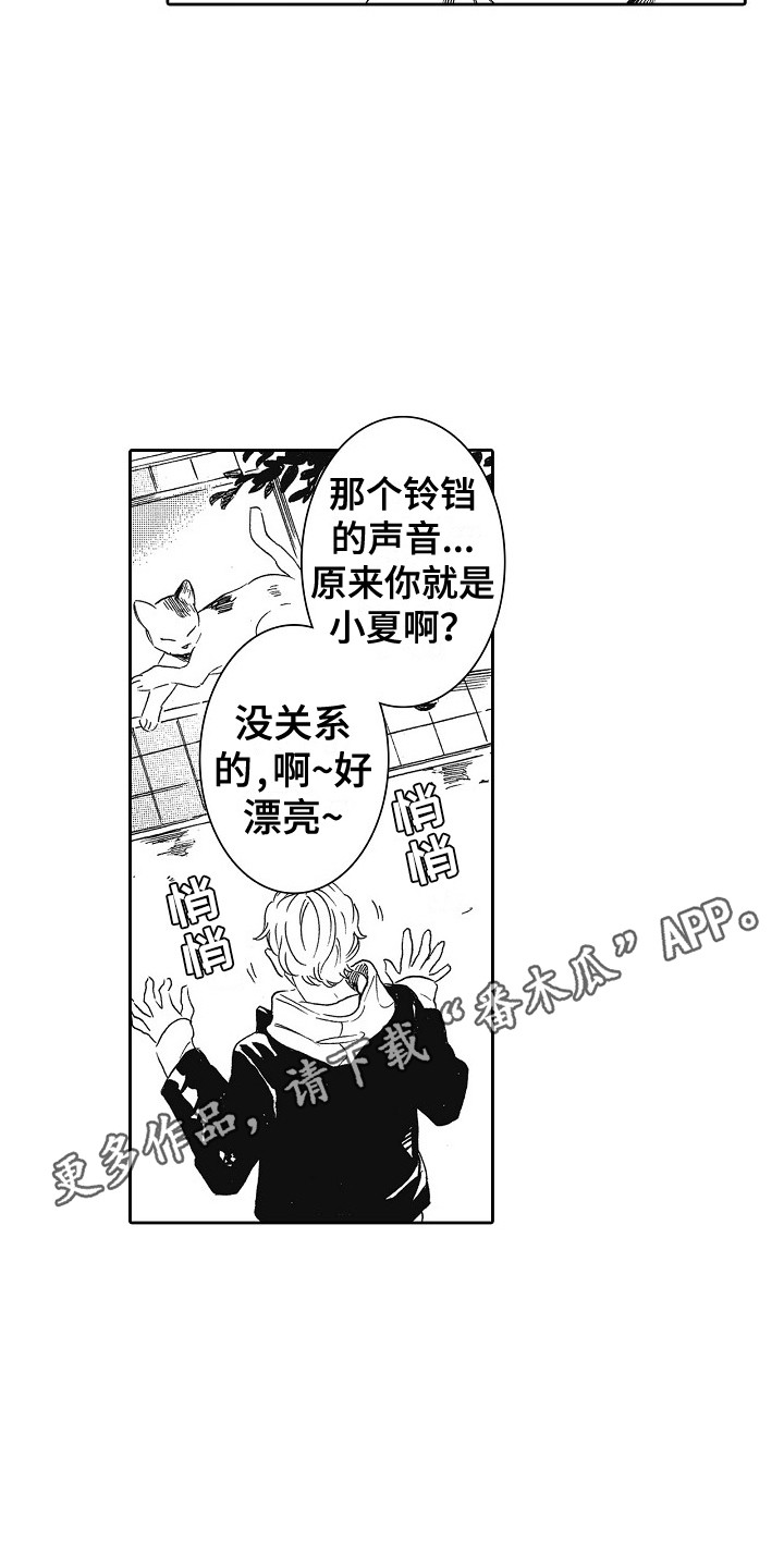 《特别之人》漫画最新章节第17章：特权免费下拉式在线观看章节第【13】张图片