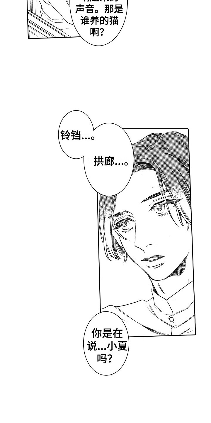 《特别之人》漫画最新章节第3章：拱廊免费下拉式在线观看章节第【11】张图片