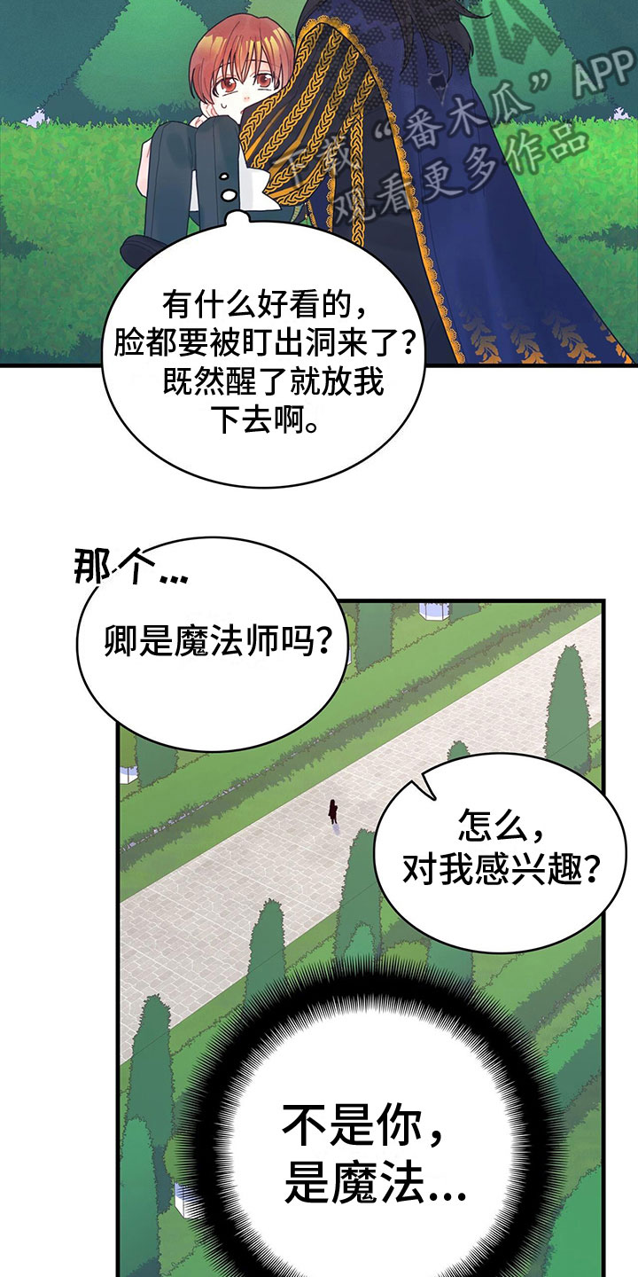 《异界攻略》漫画最新章节第6章：魔法师免费下拉式在线观看章节第【8】张图片