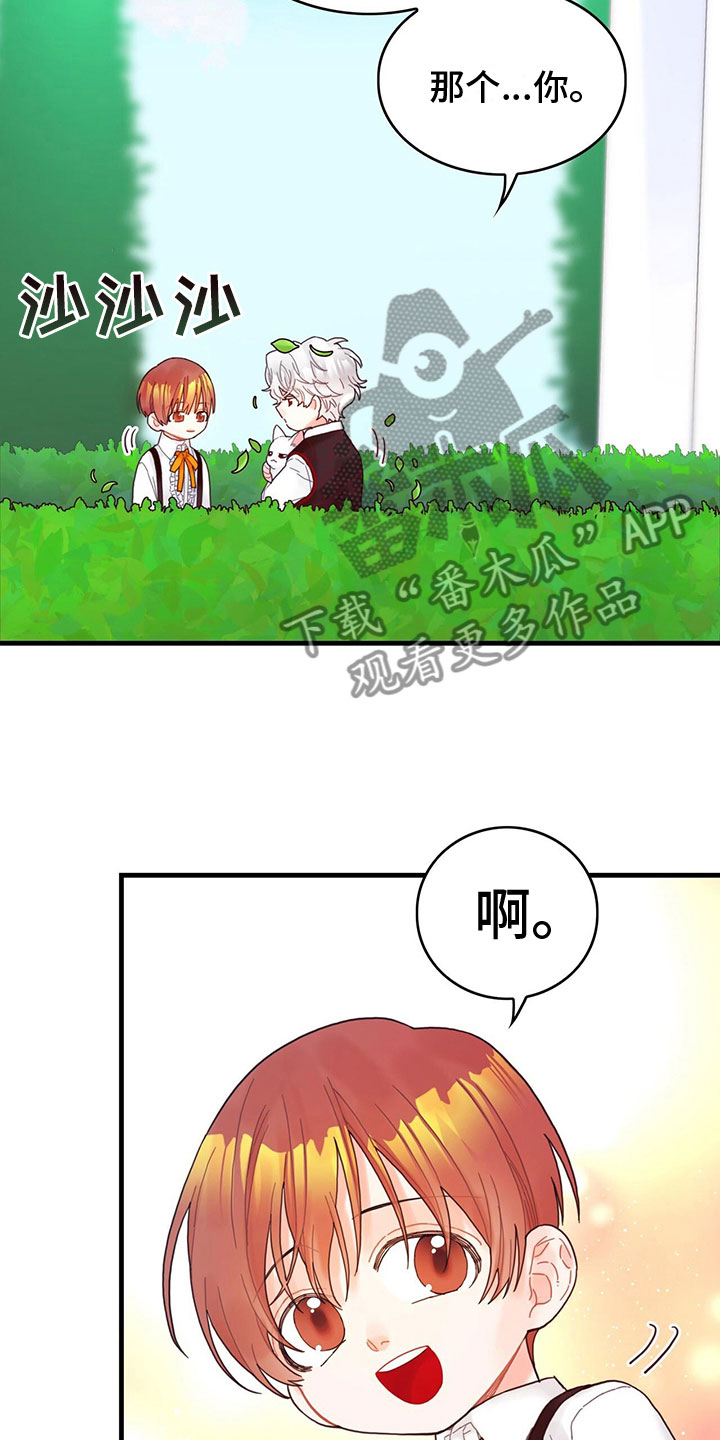 【异界攻略】漫画-（第9章：也是皇子？）章节漫画下拉式图片-17.jpg