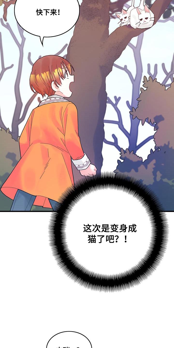 【异界攻略】漫画-（第42章：变成猫）章节漫画下拉式图片-15.jpg