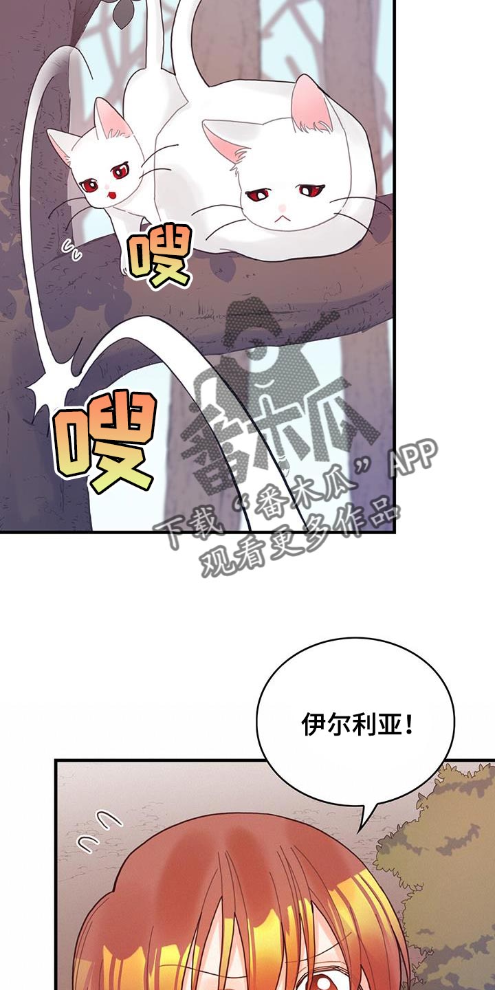 【异界攻略】漫画-（第42章：变成猫）章节漫画下拉式图片-13.jpg