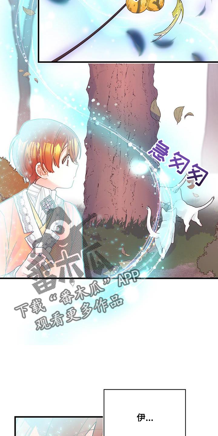 《异界攻略》漫画最新章节第42章：变成猫免费下拉式在线观看章节第【3】张图片