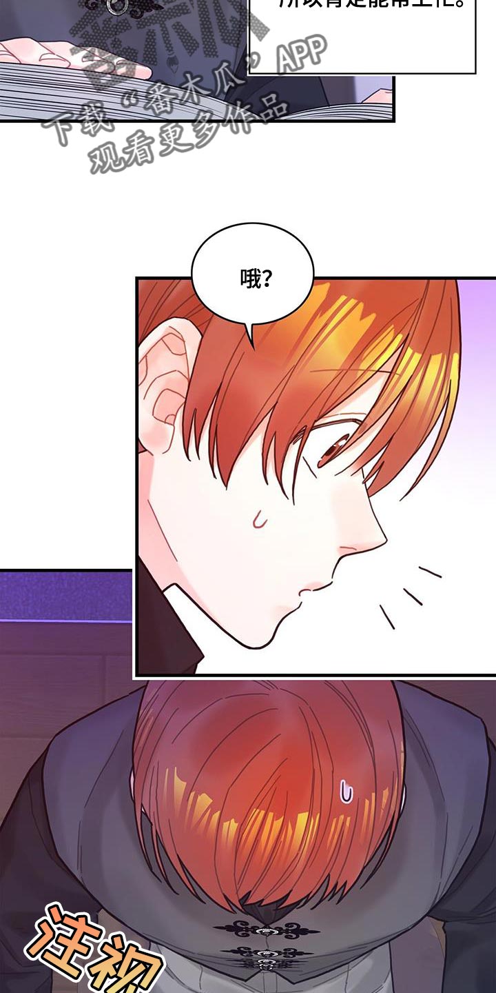 《异界攻略》漫画最新章节第61章：结局目录免费下拉式在线观看章节第【8】张图片