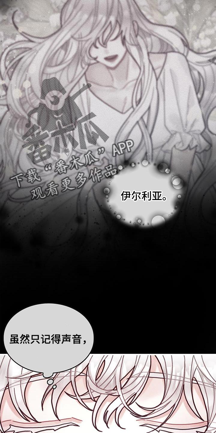 《异界攻略》漫画最新章节第98章：我不喜欢猫免费下拉式在线观看章节第【15】张图片