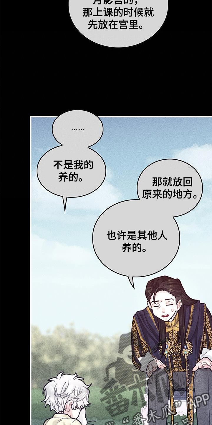 《异界攻略》漫画最新章节第98章：我不喜欢猫免费下拉式在线观看章节第【7】张图片