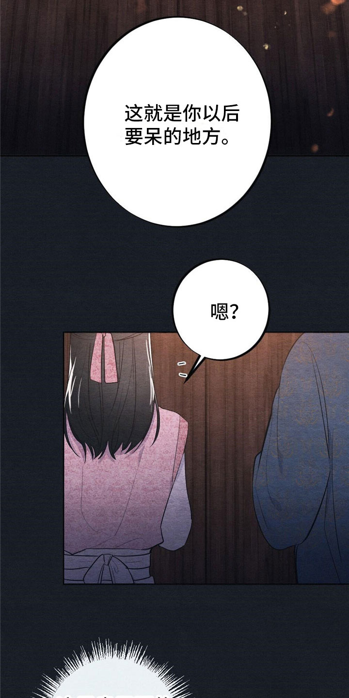 《银狼的疼爱》漫画最新章节第1章：入宫免费下拉式在线观看章节第【15】张图片