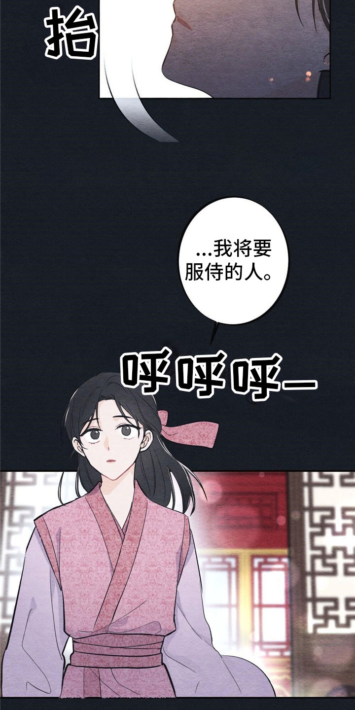 《银狼的疼爱》漫画最新章节第1章：入宫免费下拉式在线观看章节第【8】张图片