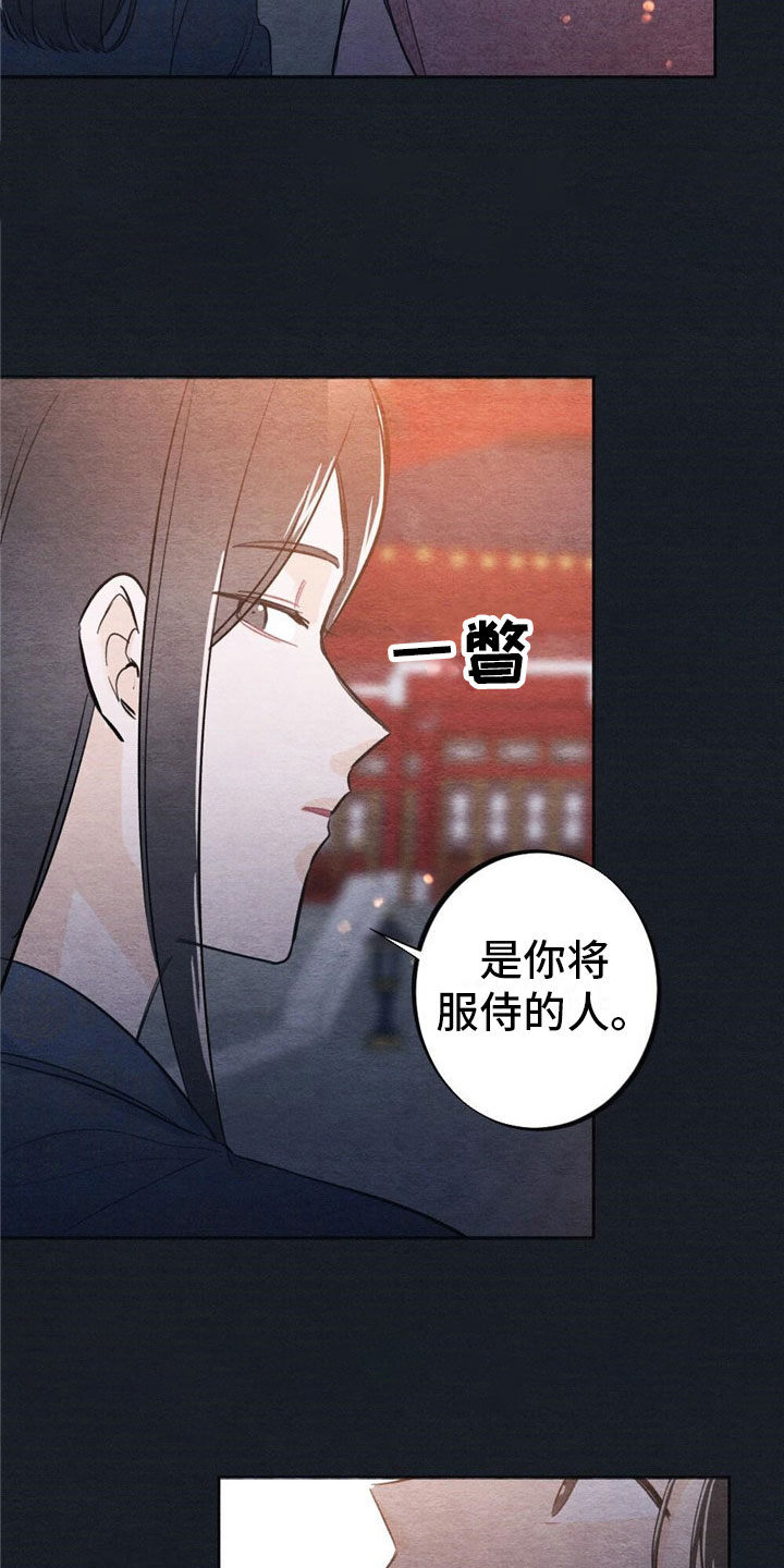 《银狼的疼爱》漫画最新章节第1章：入宫免费下拉式在线观看章节第【9】张图片