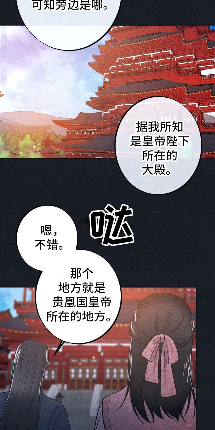 《银狼的疼爱》漫画最新章节第1章：入宫免费下拉式在线观看章节第【10】张图片