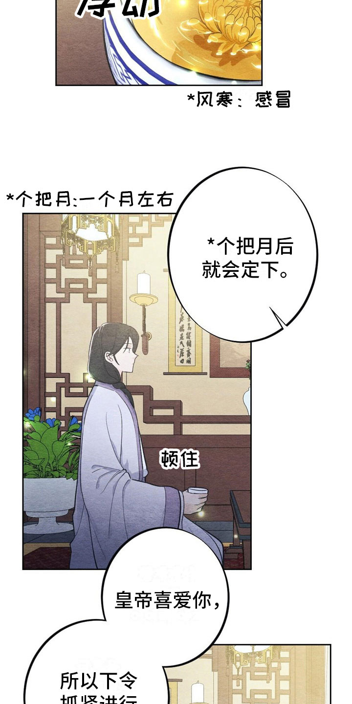 《银狼的疼爱》漫画最新章节第2章：天凰免费下拉式在线观看章节第【9】张图片