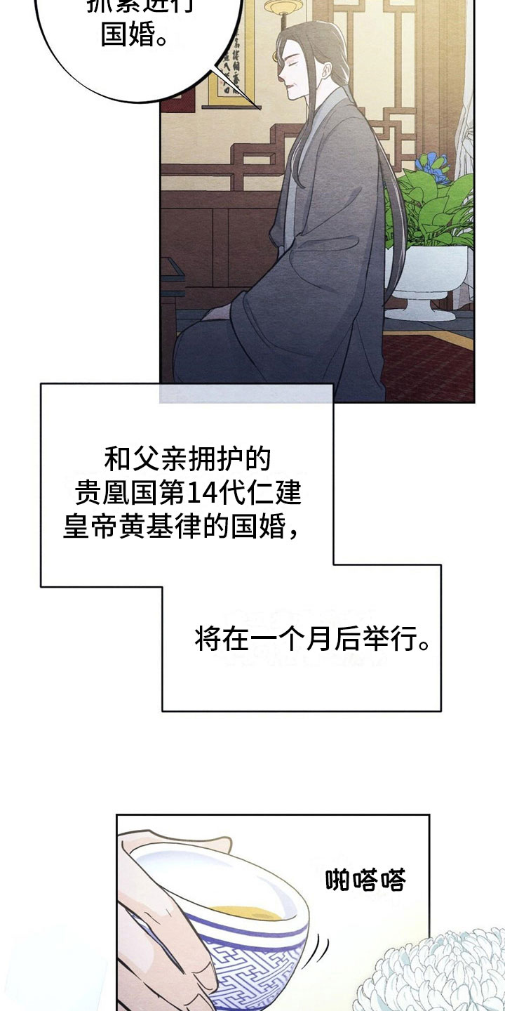 《银狼的疼爱》漫画最新章节第2章：天凰免费下拉式在线观看章节第【8】张图片