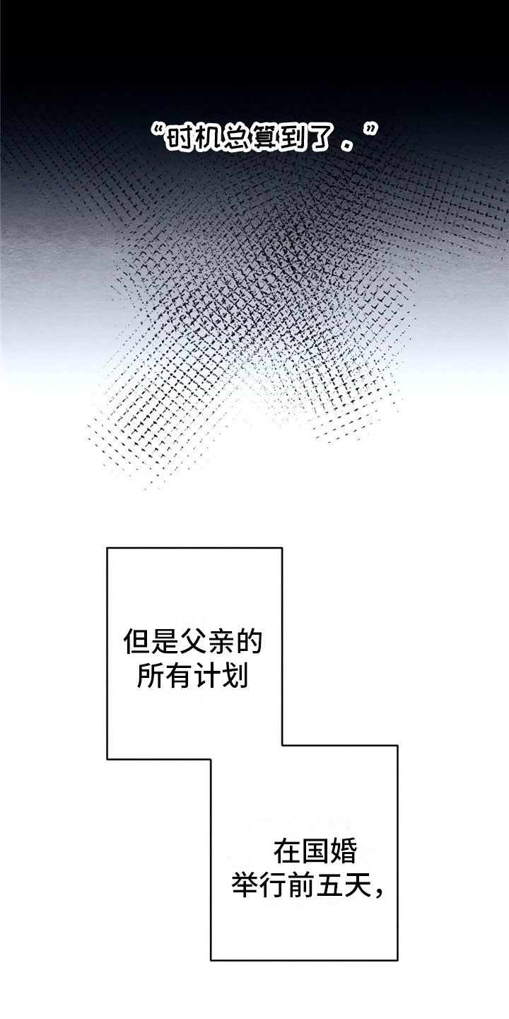 《银狼的疼爱》漫画最新章节第3章：银狼族免费下拉式在线观看章节第【11】张图片