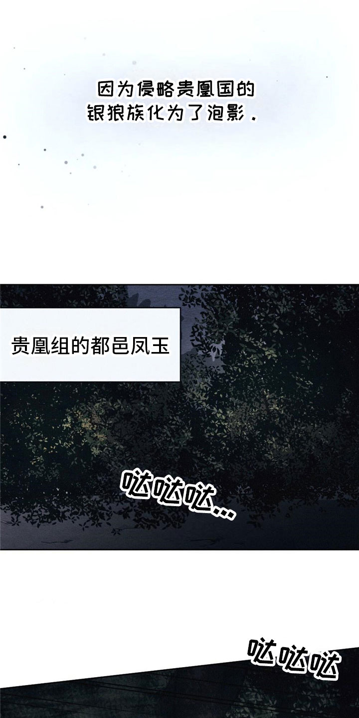 《银狼的疼爱》漫画最新章节第3章：银狼族免费下拉式在线观看章节第【10】张图片