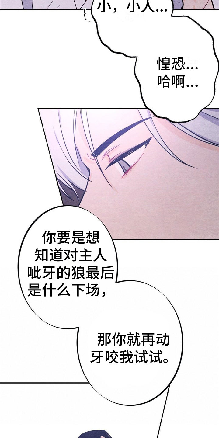 《银狼的疼爱》漫画最新章节第13章：亲自教免费下拉式在线观看章节第【6】张图片