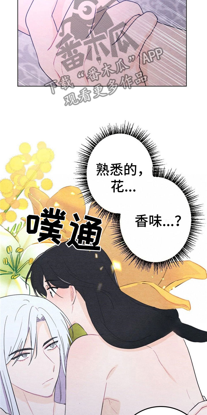 《银狼的疼爱》漫画最新章节第17章：惩罚免费下拉式在线观看章节第【20】张图片