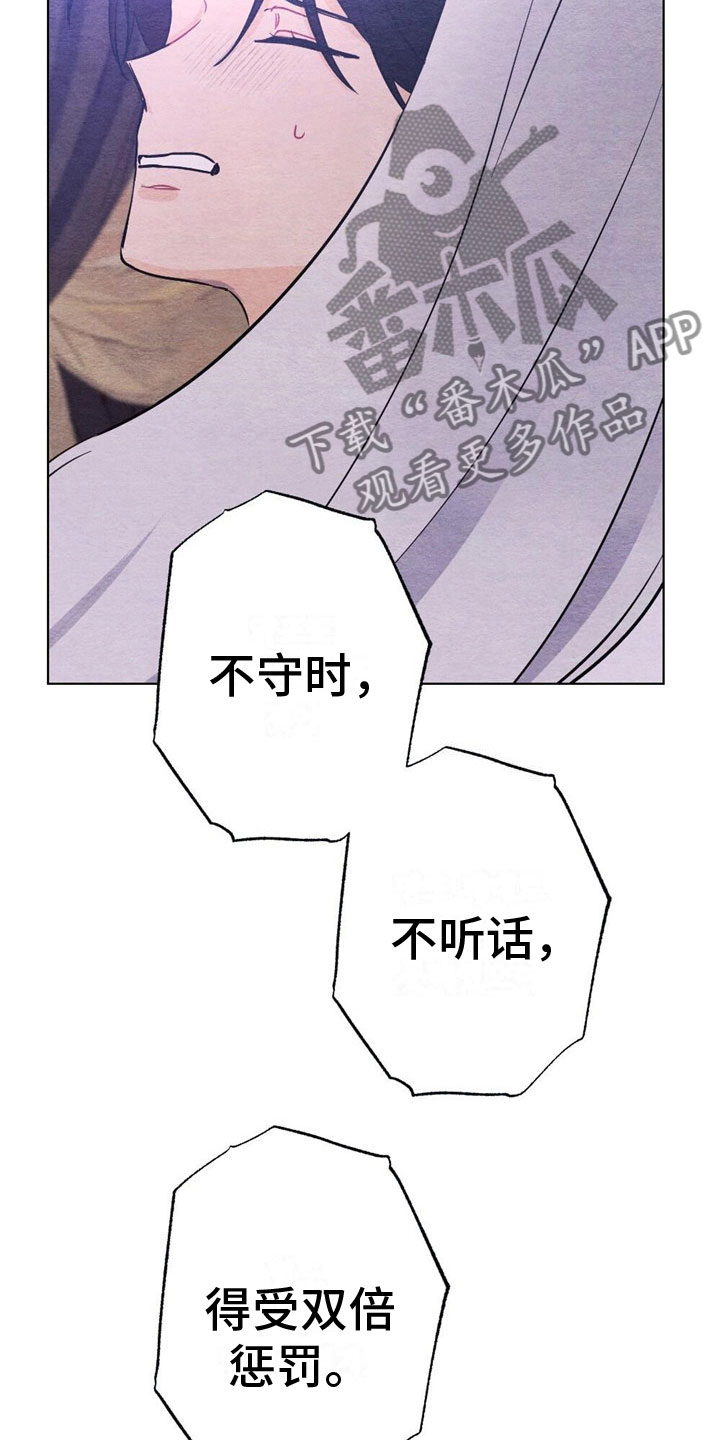 《银狼的疼爱》漫画最新章节第17章：惩罚免费下拉式在线观看章节第【17】张图片