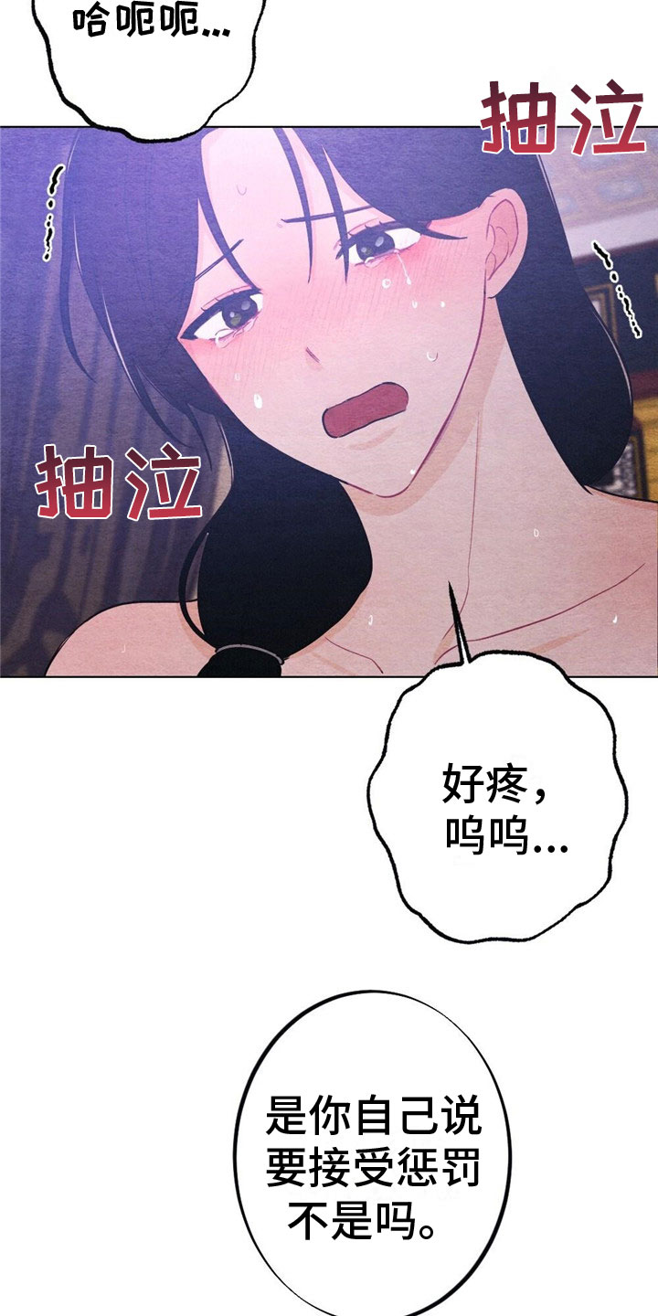 《银狼的疼爱》漫画最新章节第17章：惩罚免费下拉式在线观看章节第【12】张图片