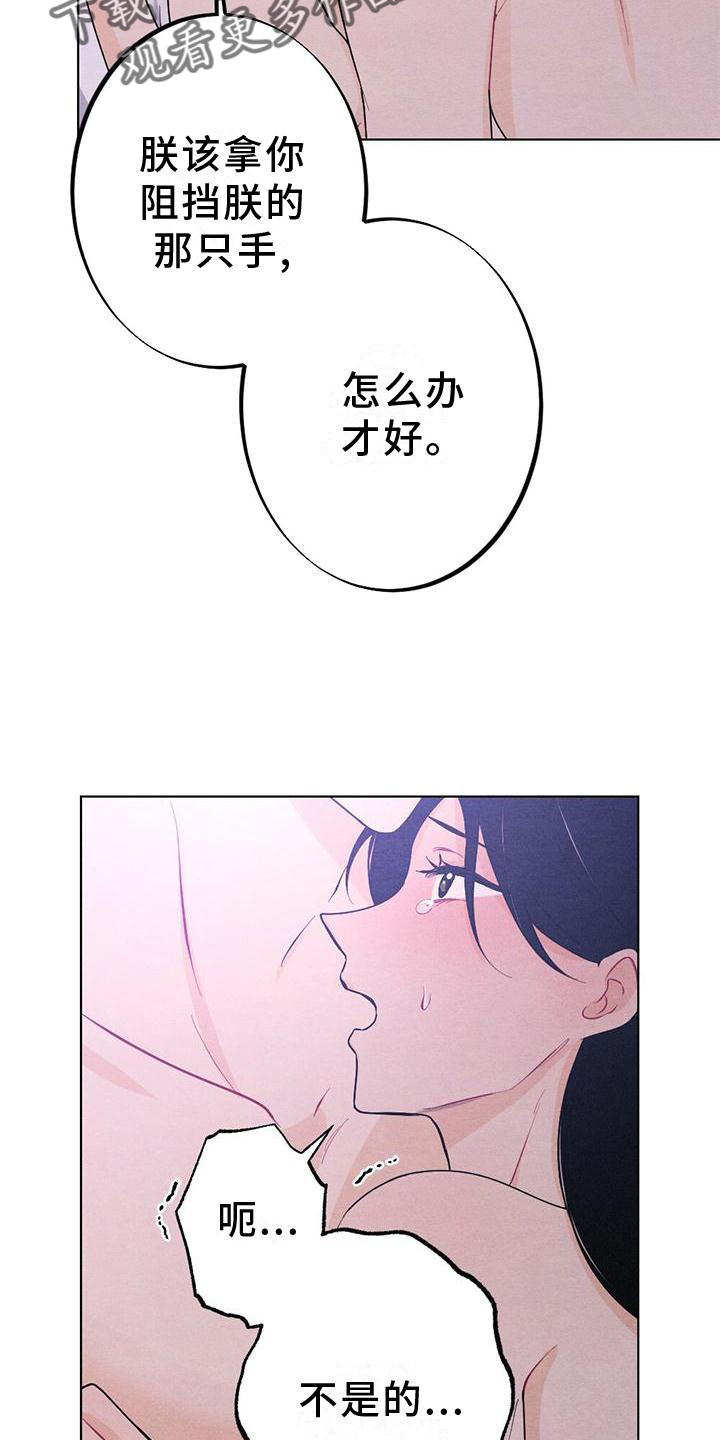 《银狼的疼爱》漫画最新章节第18章：擦药免费下拉式在线观看章节第【15】张图片