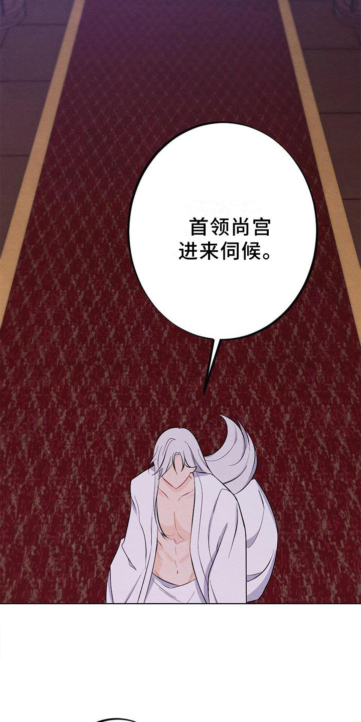 《银狼的疼爱》漫画最新章节第18章：擦药免费下拉式在线观看章节第【2】张图片