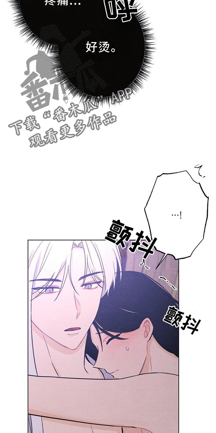 《银狼的疼爱》漫画最新章节第18章：擦药免费下拉式在线观看章节第【12】张图片