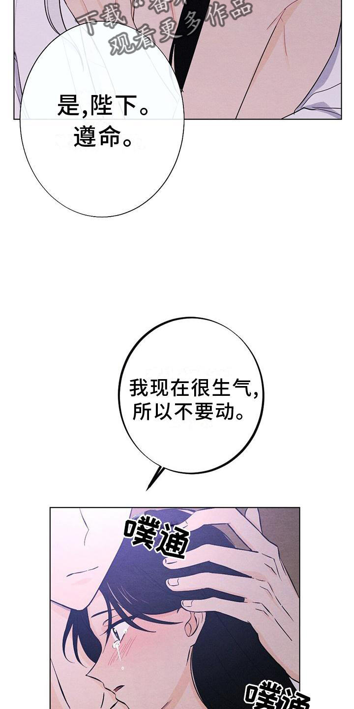 《银狼的疼爱》漫画最新章节第18章：擦药免费下拉式在线观看章节第【24】张图片