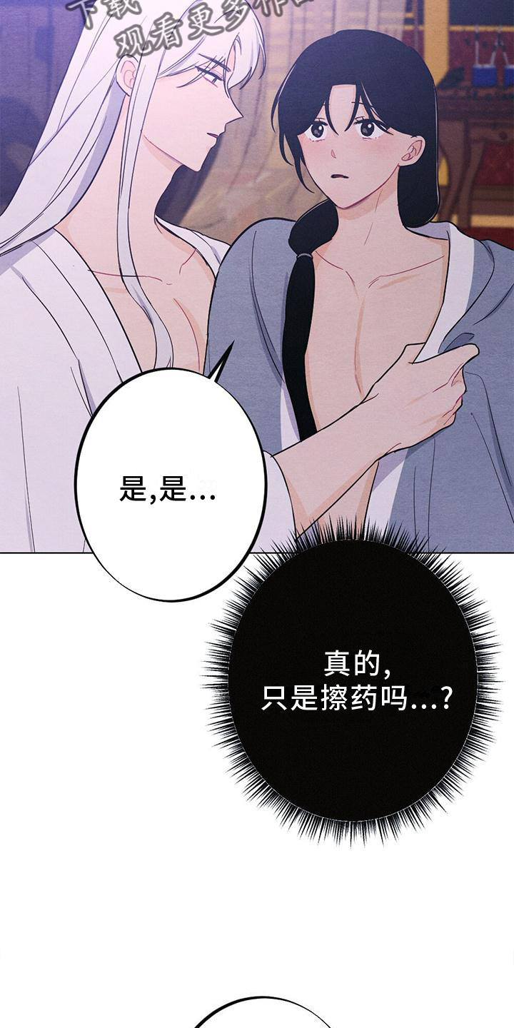 《银狼的疼爱》漫画最新章节第18章：擦药免费下拉式在线观看章节第【10】张图片