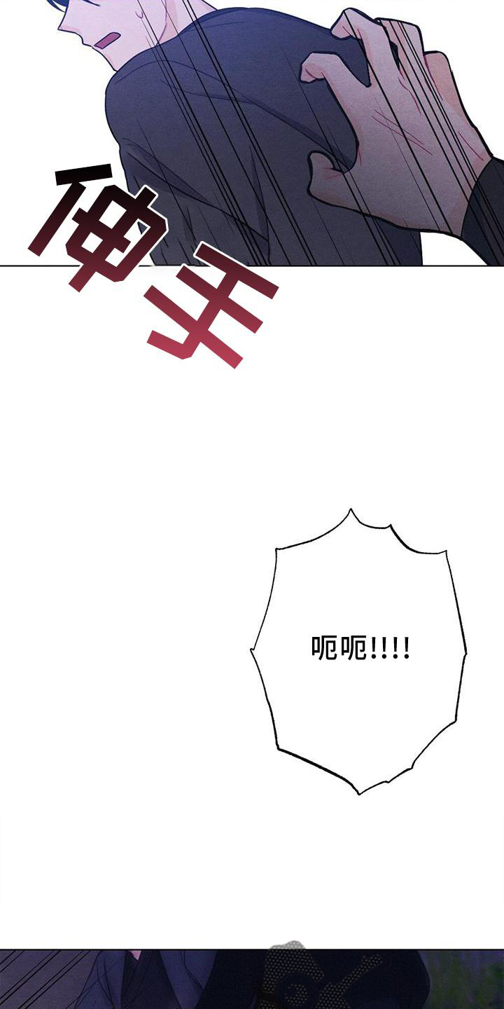 《银狼的疼爱》漫画最新章节第38章：进宫免费下拉式在线观看章节第【19】张图片