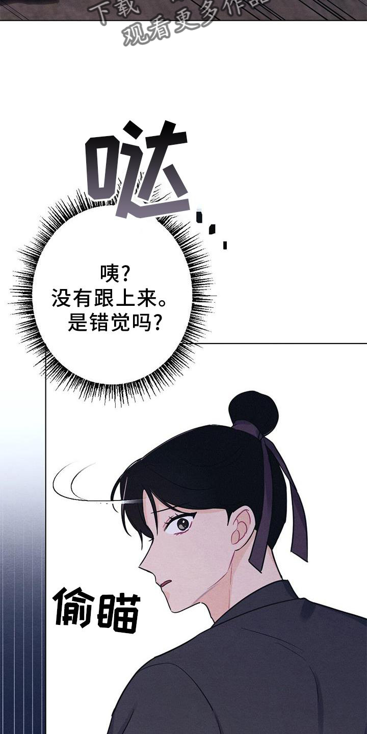 《银狼的疼爱》漫画最新章节第38章：进宫免费下拉式在线观看章节第【24】张图片