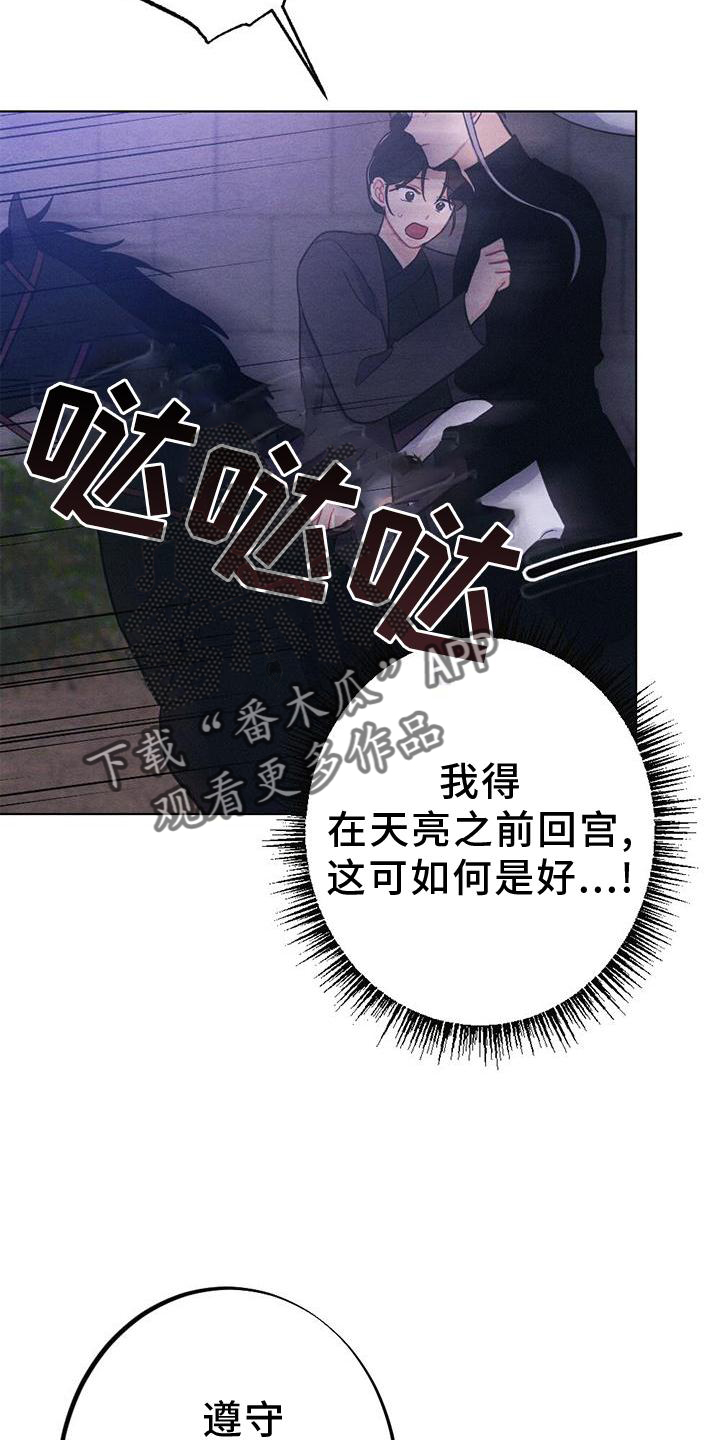 《银狼的疼爱》漫画最新章节第38章：进宫免费下拉式在线观看章节第【17】张图片