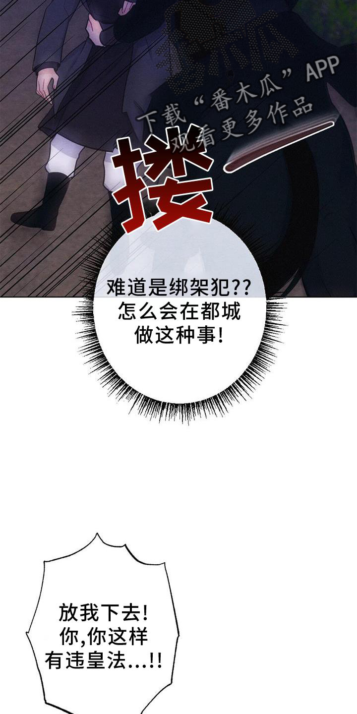 《银狼的疼爱》漫画最新章节第38章：进宫免费下拉式在线观看章节第【18】张图片