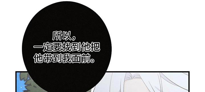 《银狼的疼爱》漫画最新章节第74章：留在我身边免费下拉式在线观看章节第【17】张图片