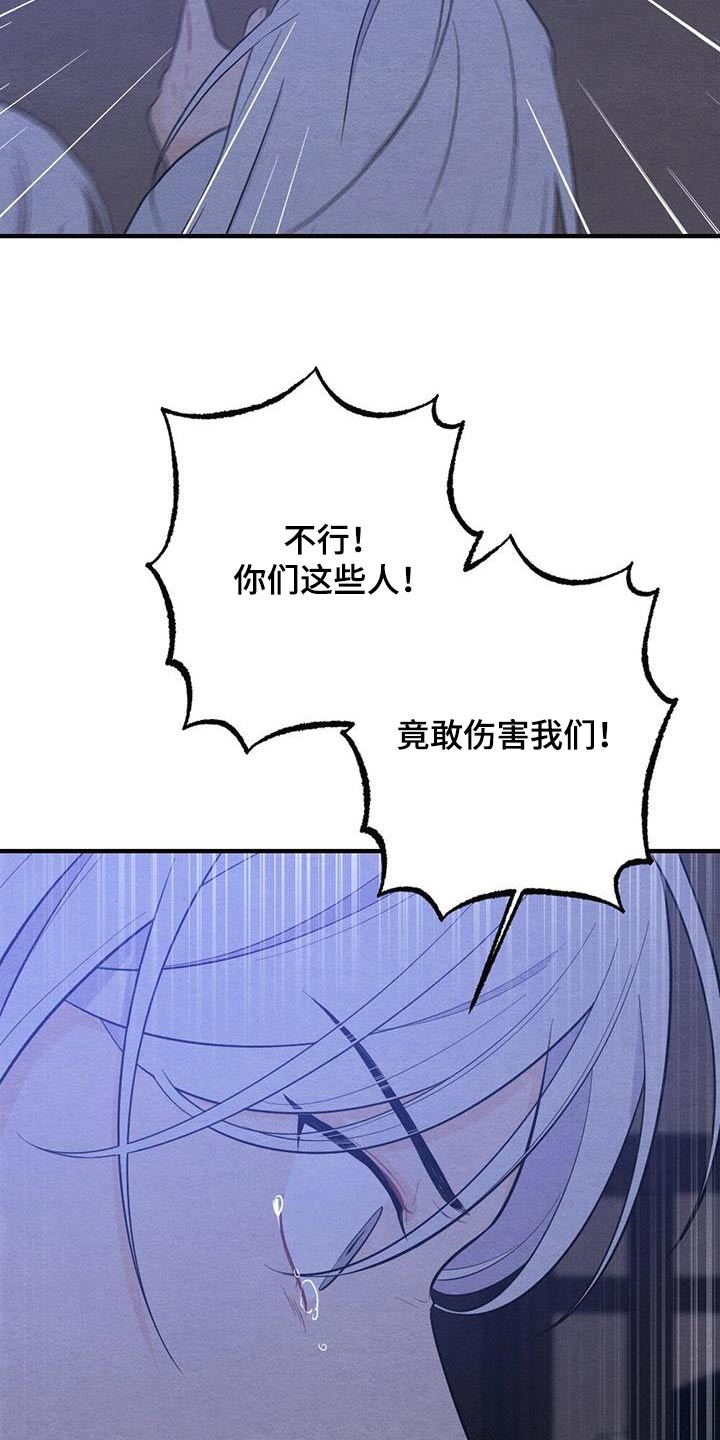 《银狼的疼爱》漫画最新章节第77章：母亲免费下拉式在线观看章节第【13】张图片