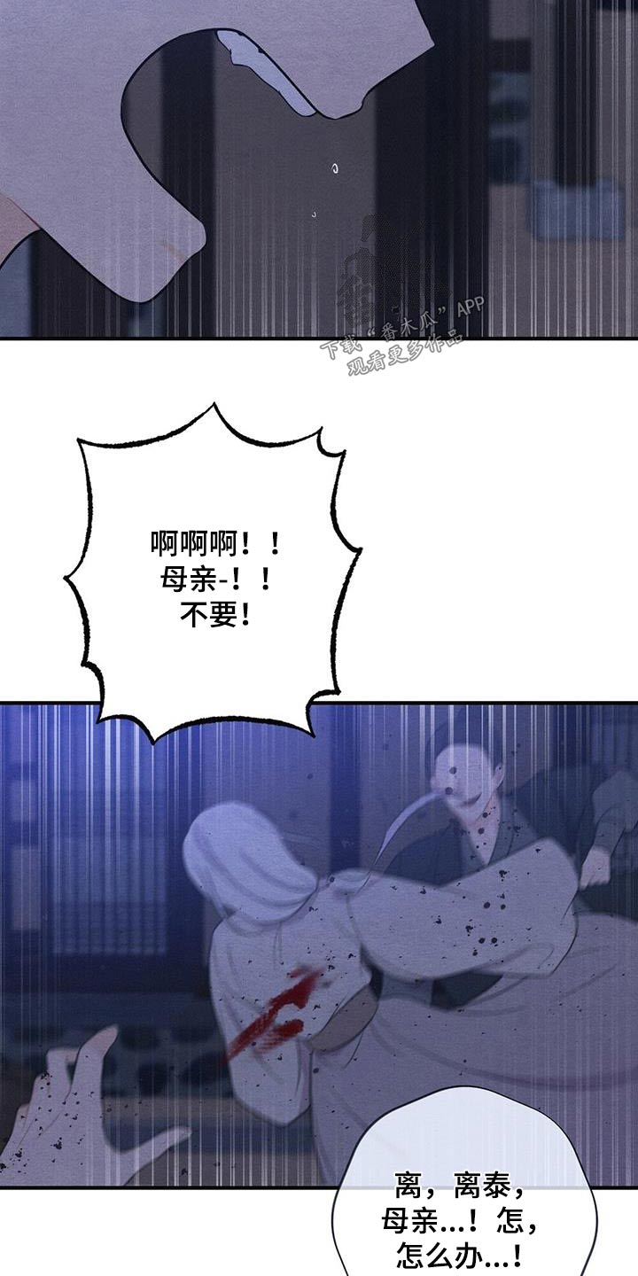 《银狼的疼爱》漫画最新章节第77章：母亲免费下拉式在线观看章节第【12】张图片