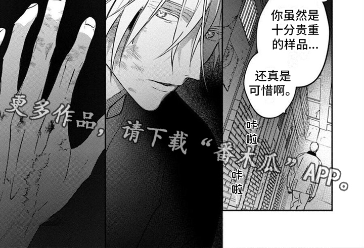 《末世救赎》漫画最新章节第42章：求救免费下拉式在线观看章节第【1】张图片