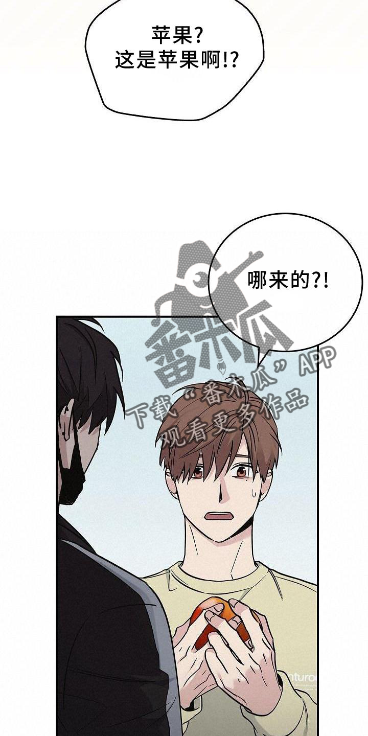 《被男人掌控生死》漫画最新章节第48章：苹果免费下拉式在线观看章节第【11】张图片