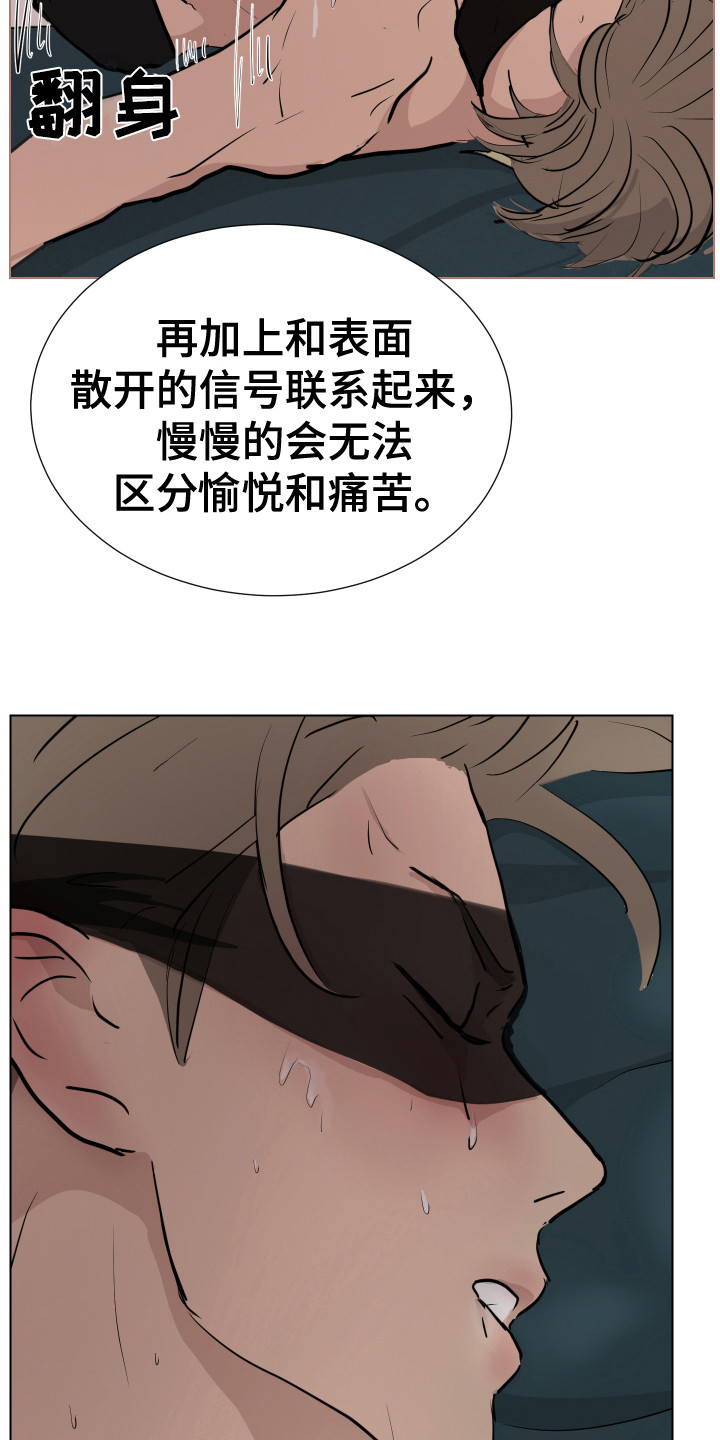 《内部追踪》漫画最新章节第13章：准备完毕免费下拉式在线观看章节第【6】张图片