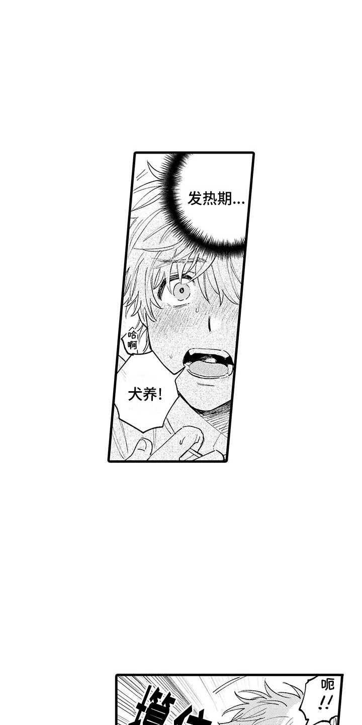 《最后的欧米伽》漫画最新章节第16章：发热期 免费下拉式在线观看章节第【7】张图片