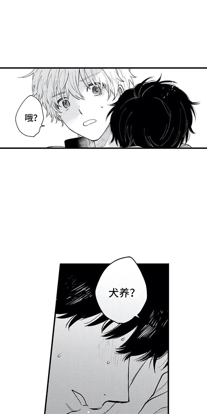 《最后的欧米伽》漫画最新章节第29章：晕倒免费下拉式在线观看章节第【13】张图片