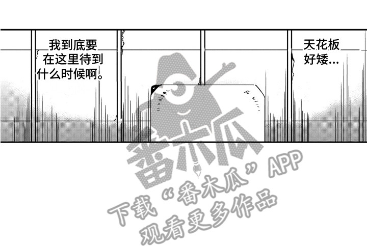 《星野冈公寓》漫画最新章节第4章：搬家礼物免费下拉式在线观看章节第【1】张图片