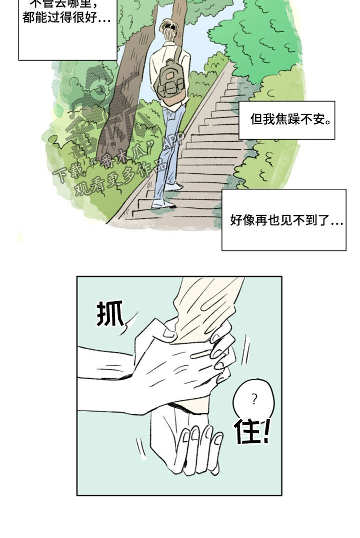 《恋爱三角》漫画最新章节第16章：室友免费下拉式在线观看章节第【4】张图片