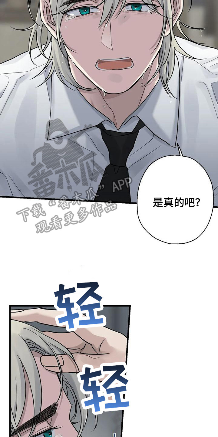 《年下之恋》漫画最新章节第15章：哭泣免费下拉式在线观看章节第【10】张图片