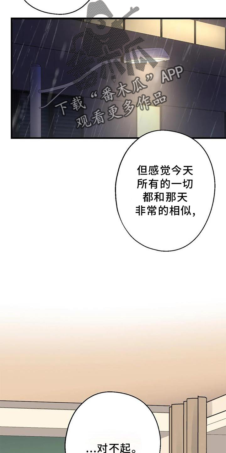 《年下之恋》漫画最新章节第29章：对不起免费下拉式在线观看章节第【18】张图片