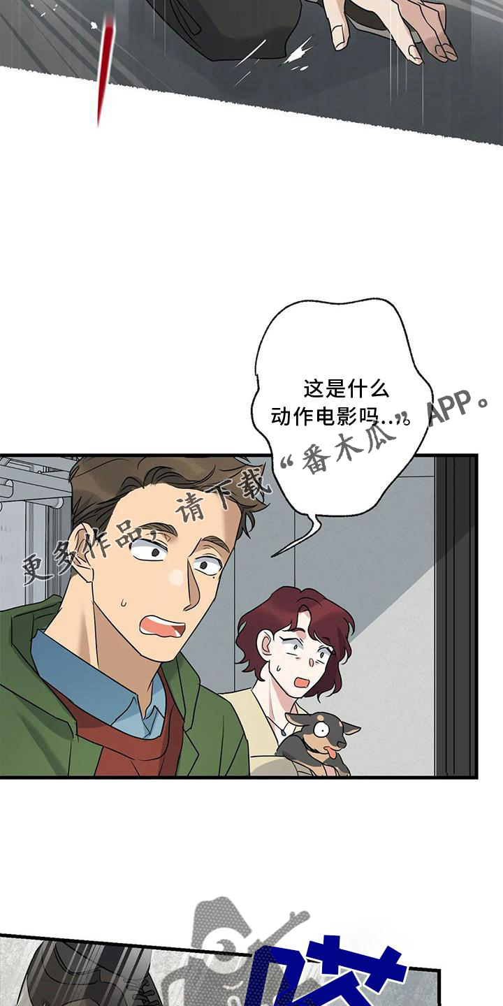 《年下之恋》漫画最新章节第36章：捉贼免费下拉式在线观看章节第【14】张图片