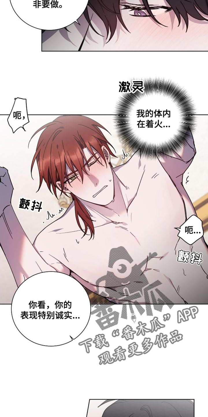 《太子的恶趣味》漫画最新章节第24章：真心免费下拉式在线观看章节第【5】张图片