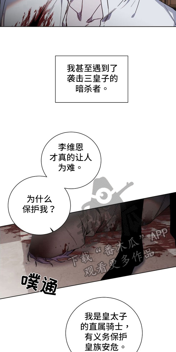 《太子的恶趣味》漫画最新章节第28章：袭击免费下拉式在线观看章节第【7】张图片