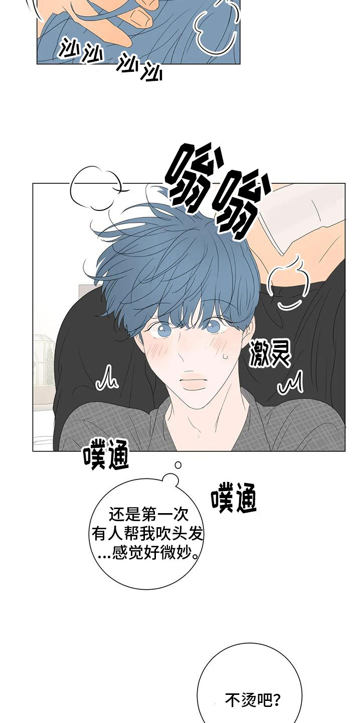 《相爱的每天》漫画最新章节第13章：真正的幸福免费下拉式在线观看章节第【8】张图片