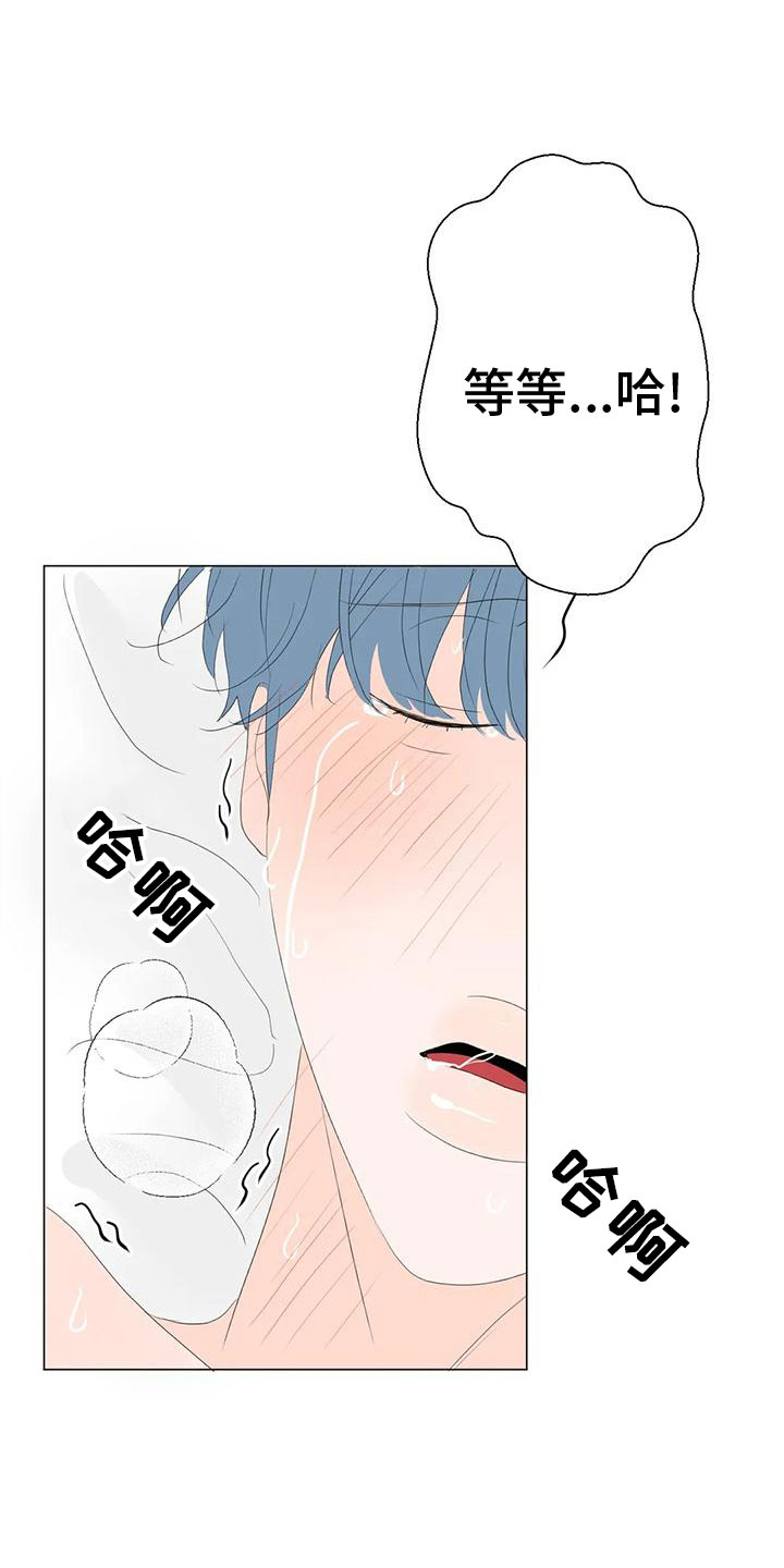 《相爱的每天》漫画最新章节第15章：最爱的人免费下拉式在线观看章节第【19】张图片